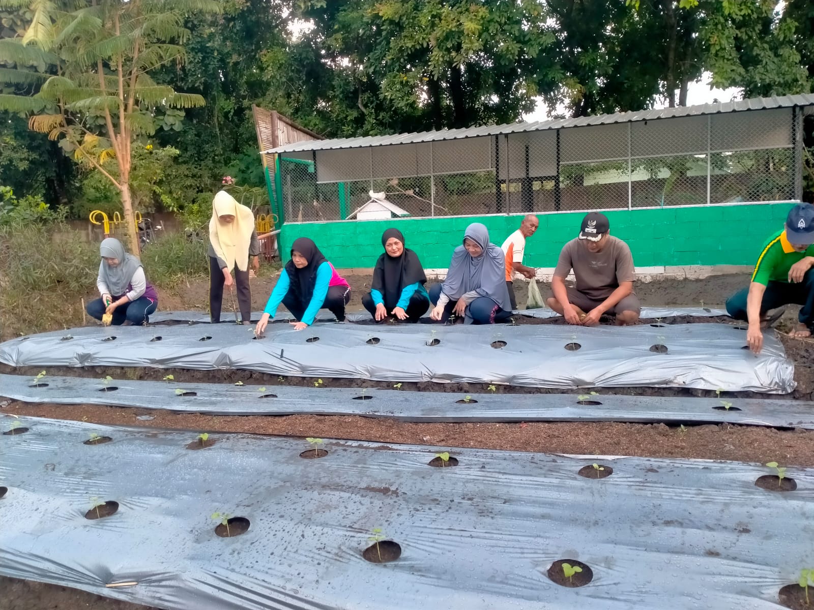 SINERGITAS LURAH MANGUHARJO JADI KUNCI KEBERHASILAN CIPTAKAN KETAHANAN PANGAN YANG TANGGUH