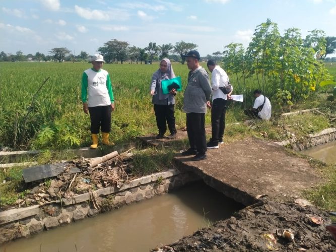 SURVEY TANAH ASSET BENGKOK DI KELURAHAN MANGUHARJO TAHUN 2025