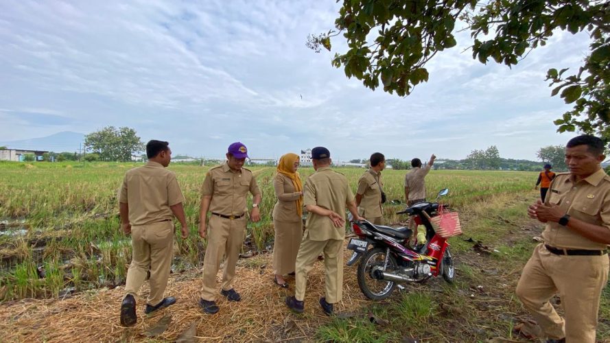 Monitoring Tanah asset Pemerintah kota Madiun yang terletak Di Perbatasan Kelurahan Manguharjo Dan Kelurahan Winongo