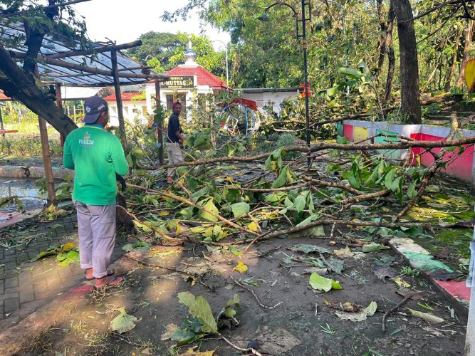 Penanganan Bencana Alam Akibat Angin Kencang dan Pohon Tumbang di wilayah Kelurahan Manguharjo